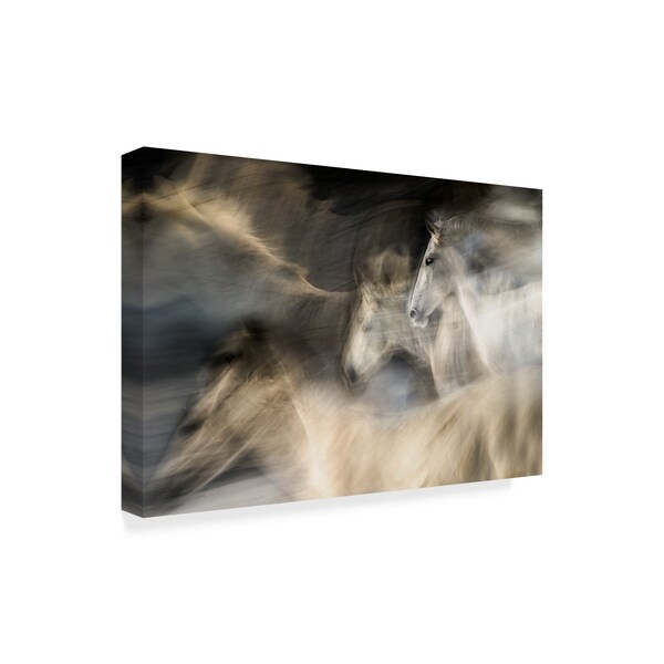 Milan Malovrh 'In Motion Blurred' Canvas Art,30x47